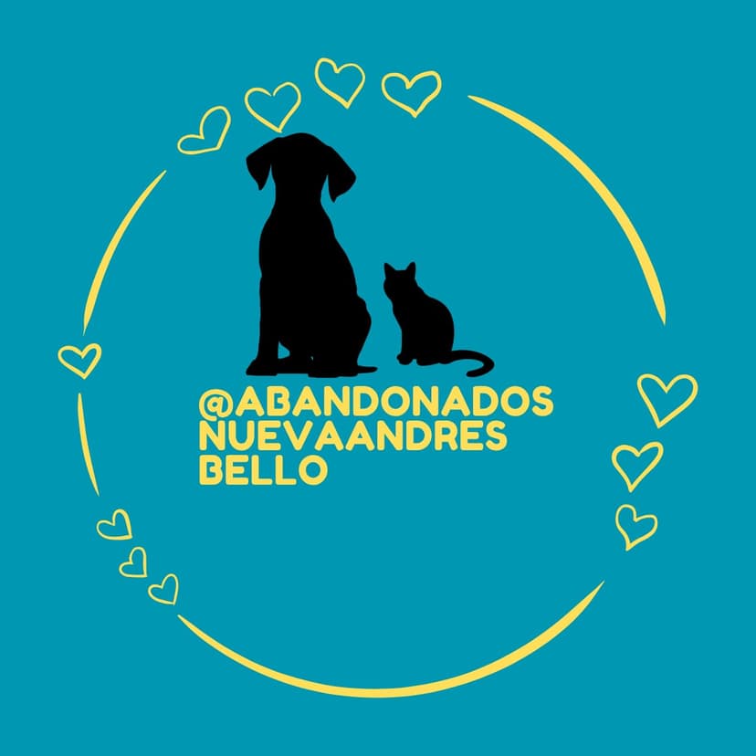 Abandonados Nueva Andrés Bello