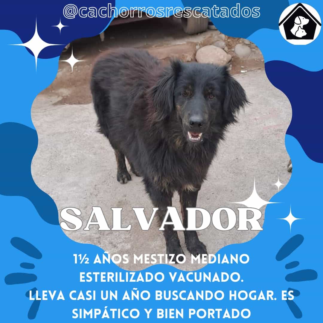 Foto de Salvador