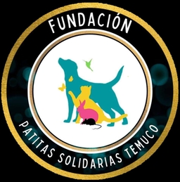 Patitas Solidarias