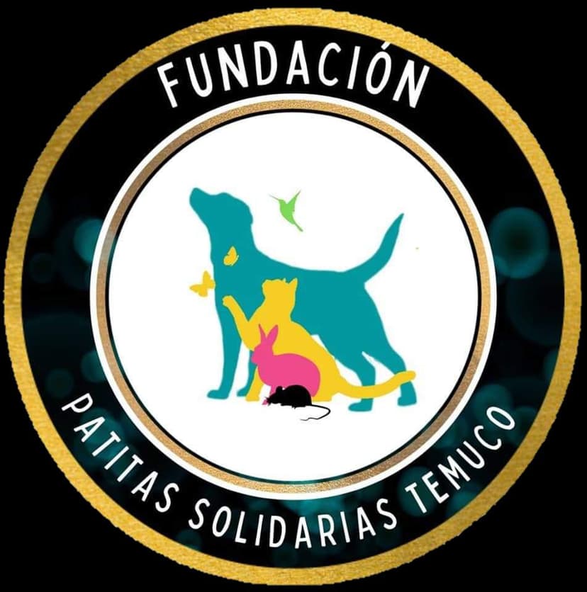 Patitas Solidarias