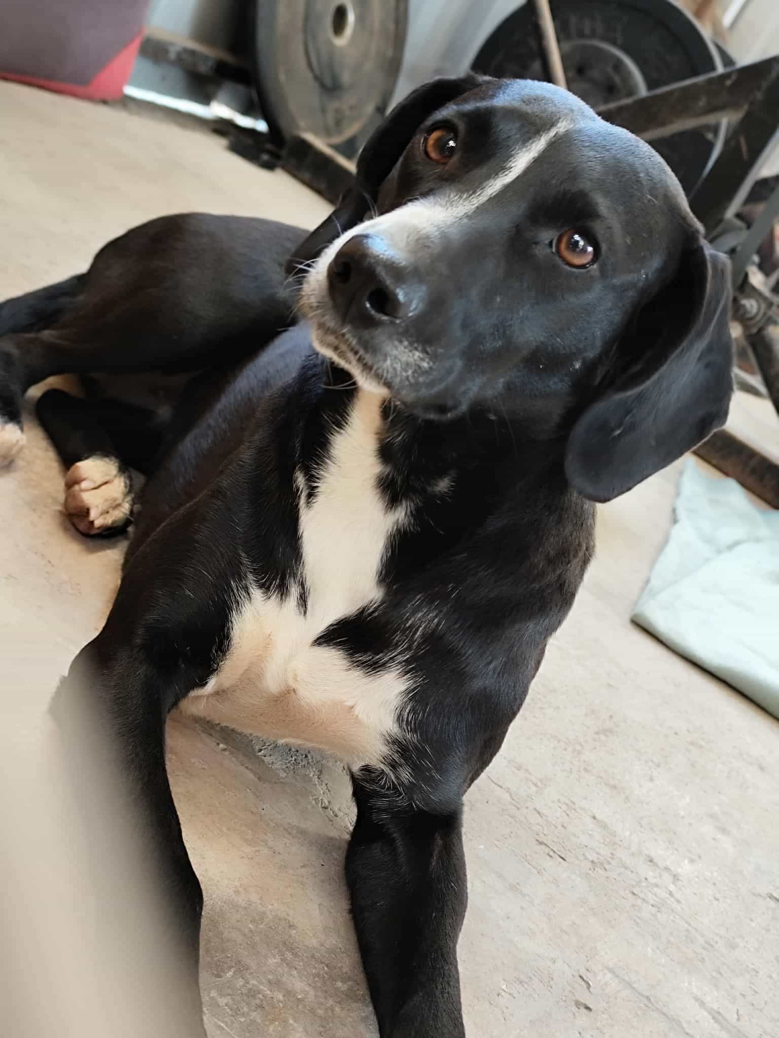 Foto de Linda