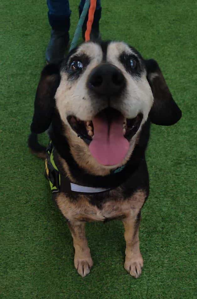Foto de Florencio