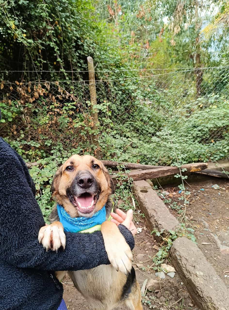 Foto de COCO