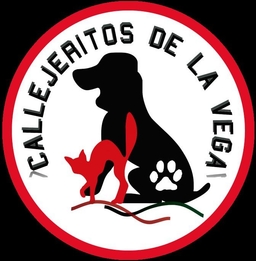 Callejeritos de la Vega
