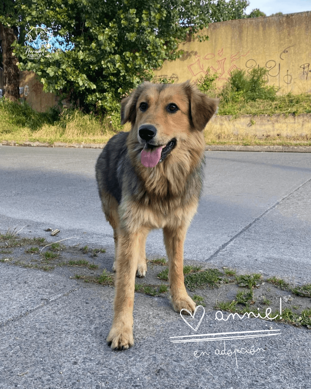 Foto de Annie
