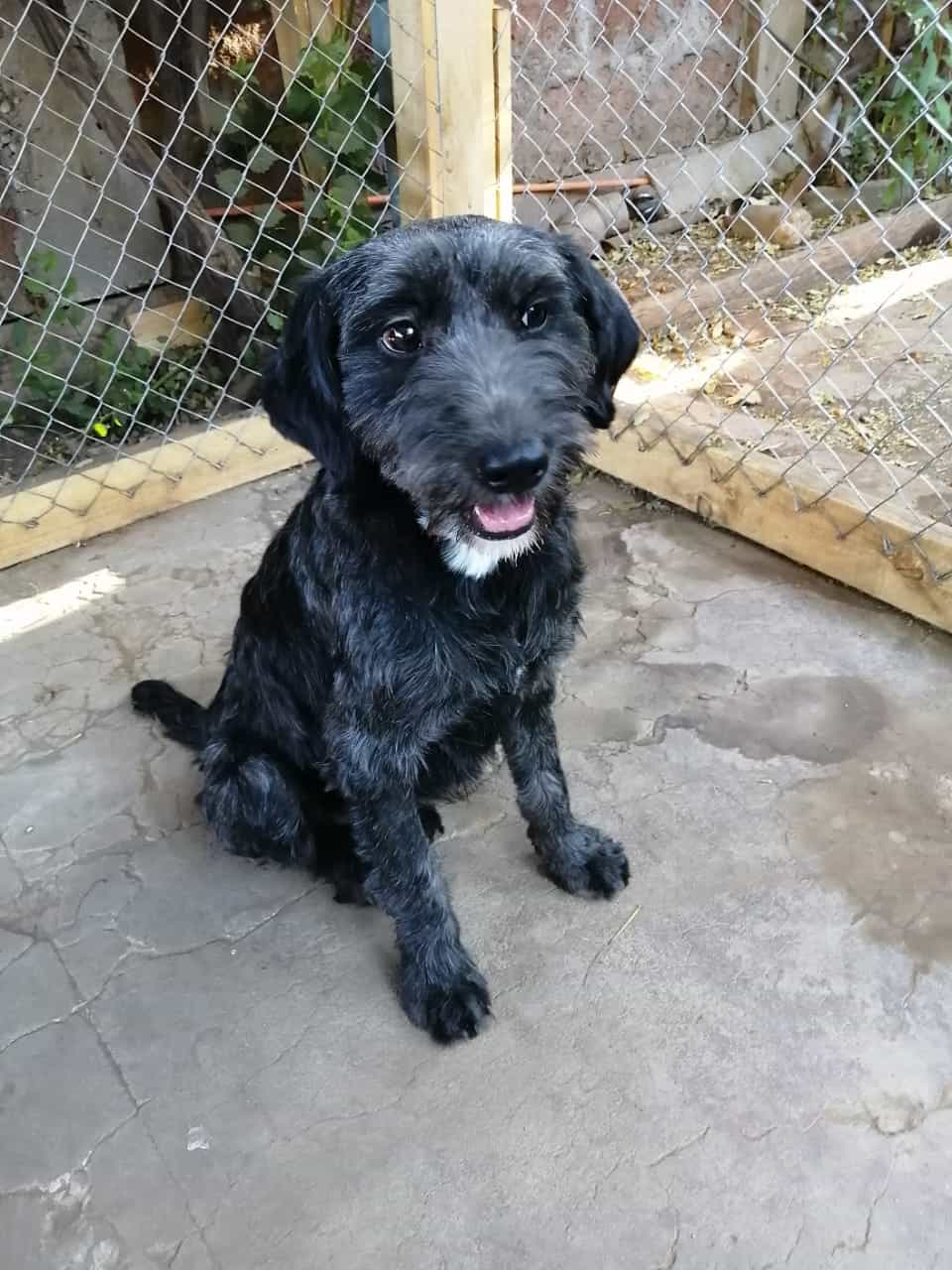 Foto de Apolo