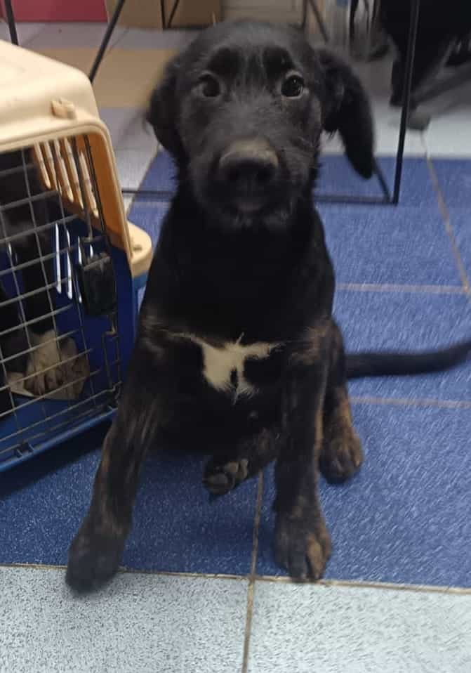 Foto de Zeus