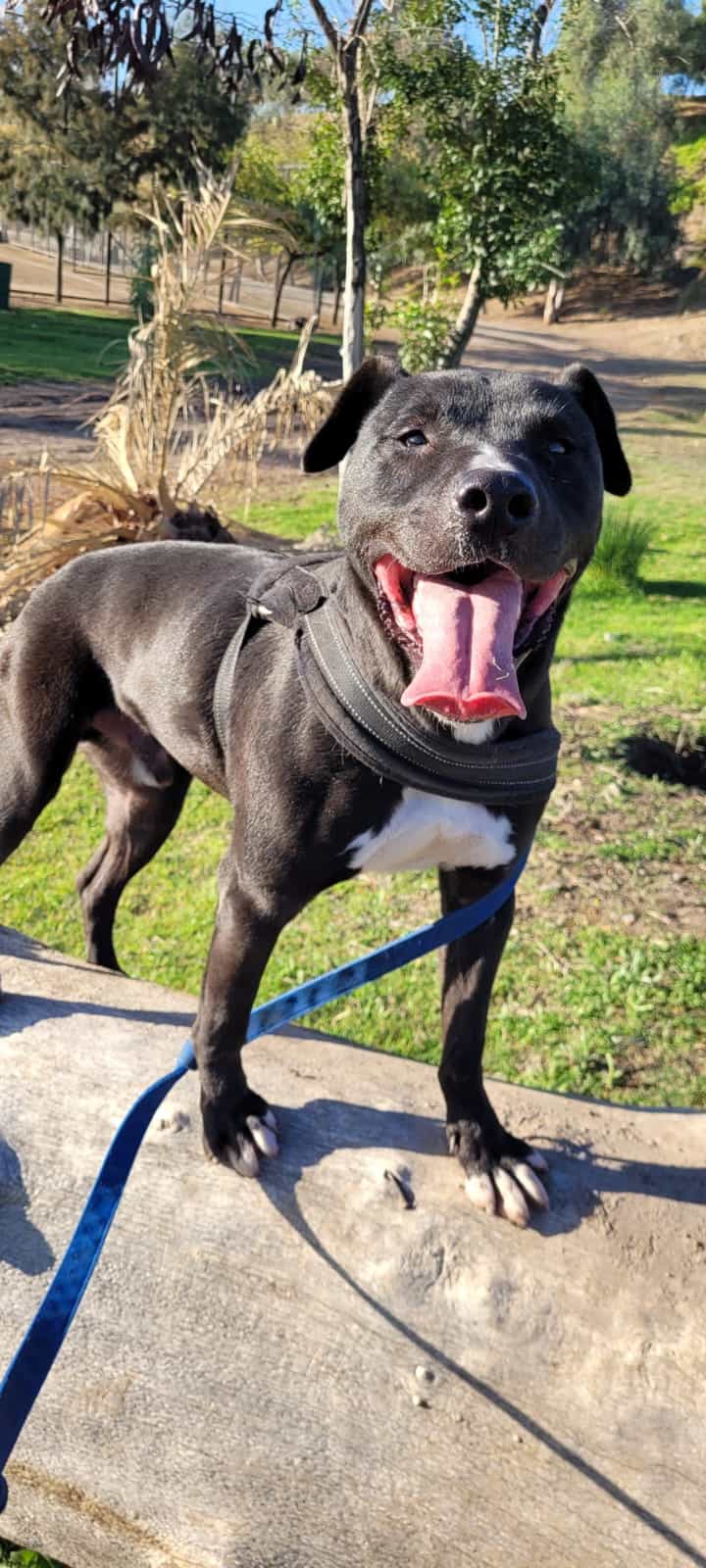 Foto de Zero