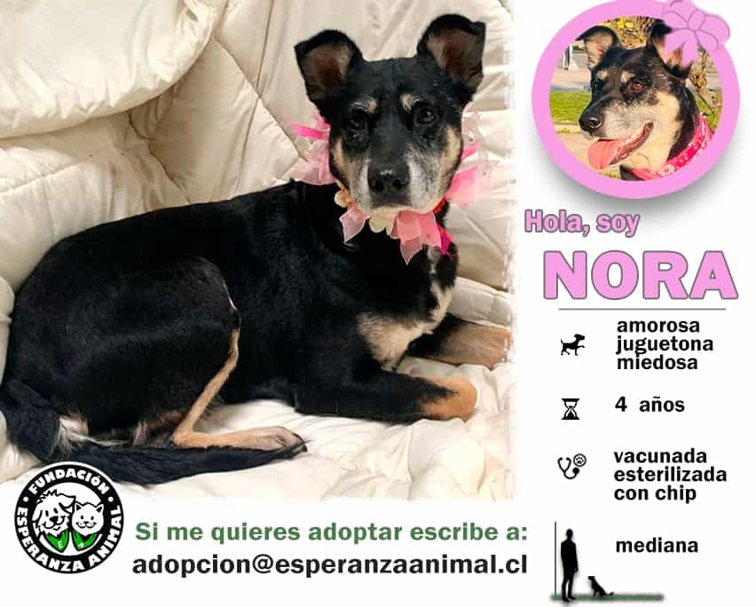 Foto de Nora