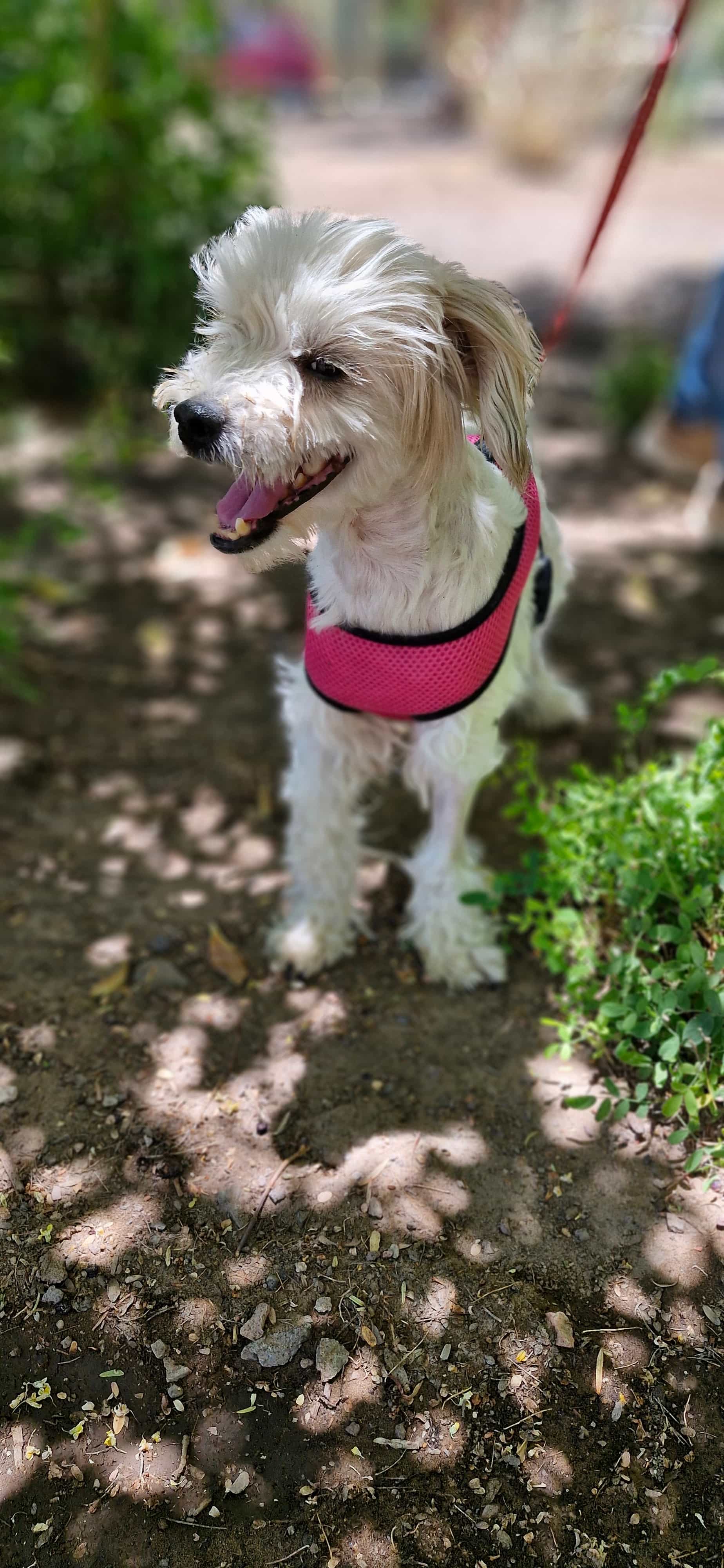 Foto de JANITO