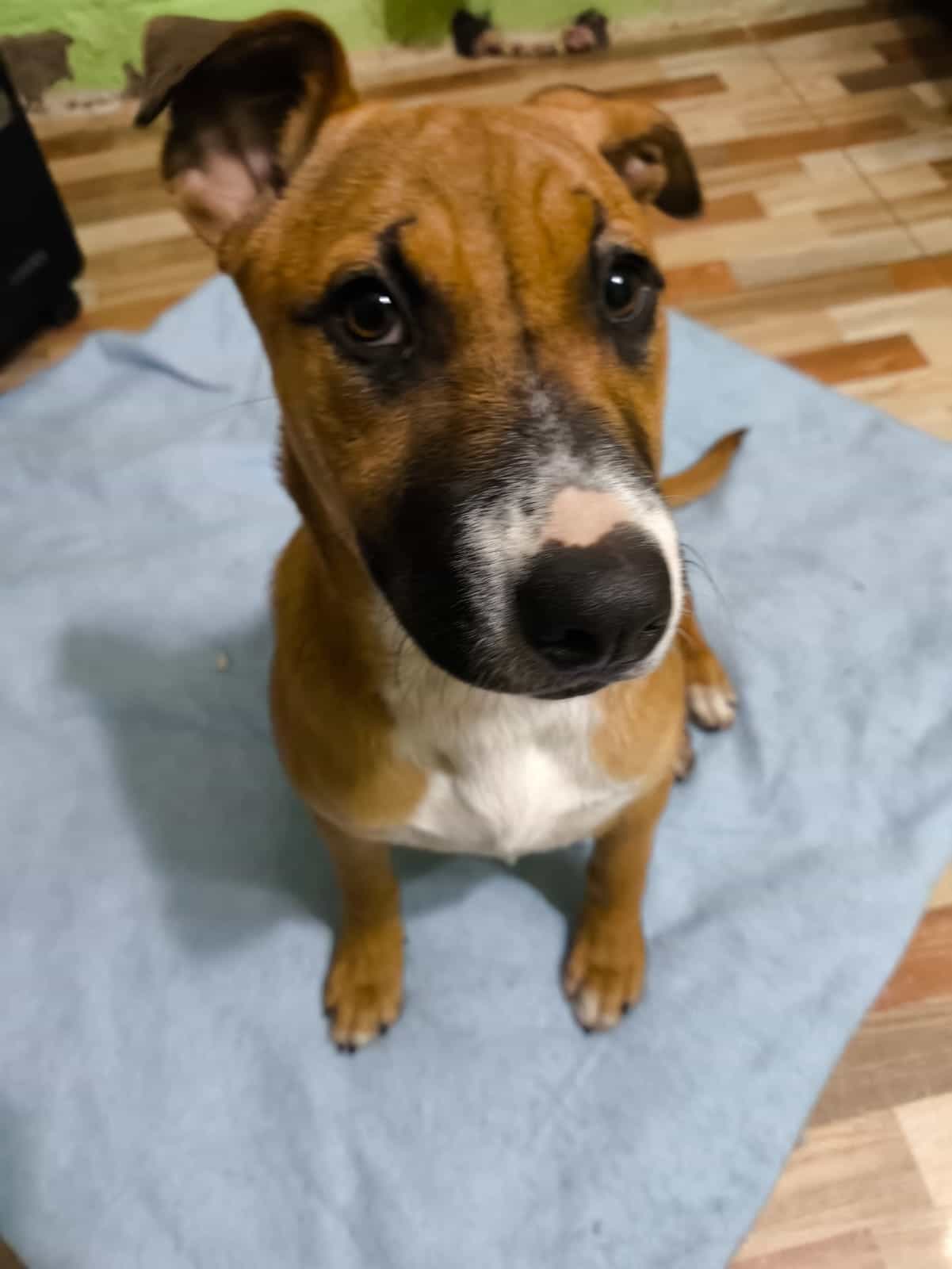 Foto de Cleo