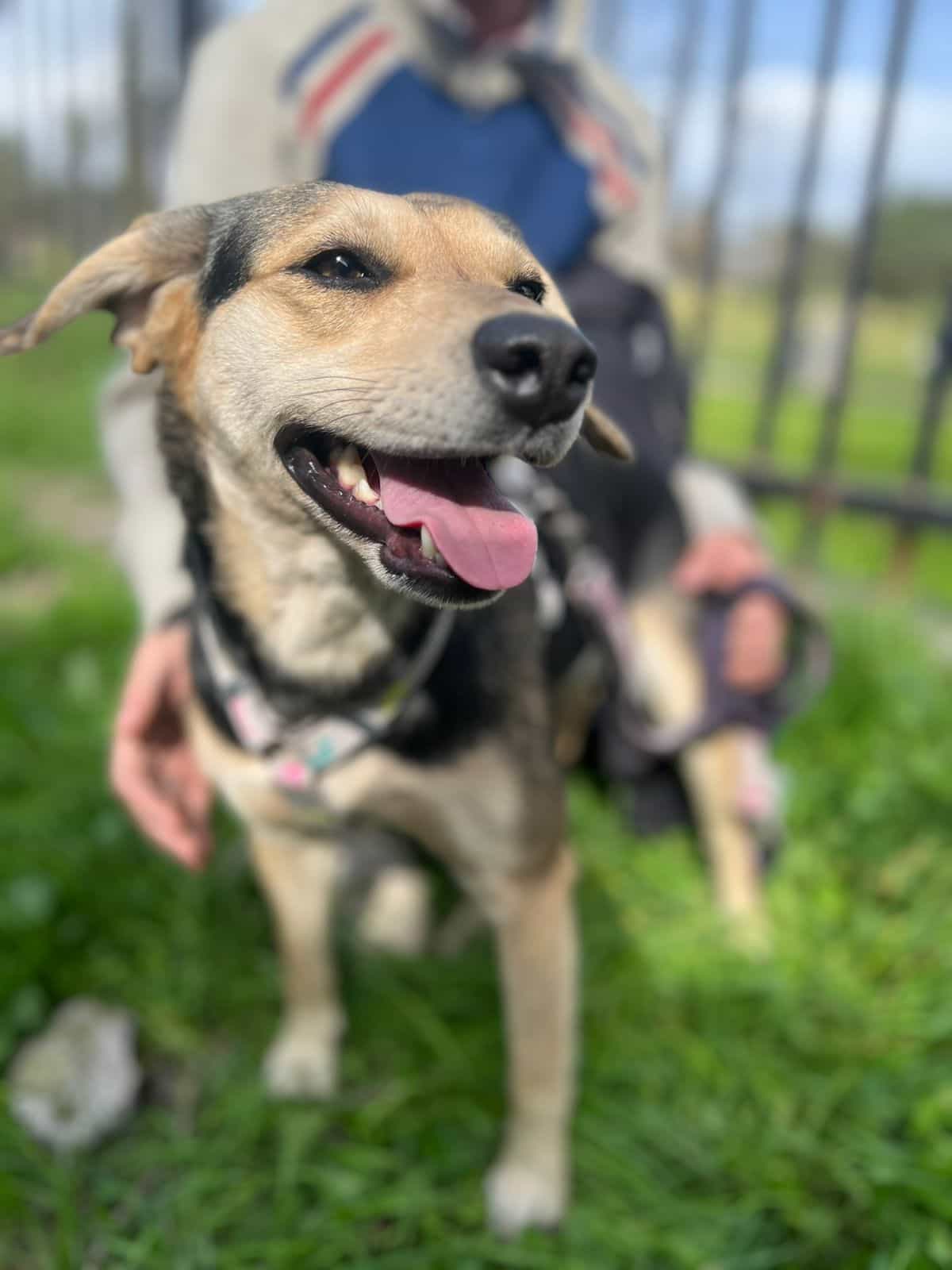 Foto de Luna