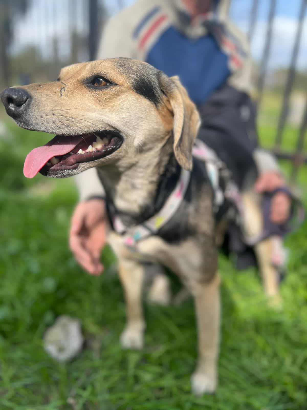Foto de Lola