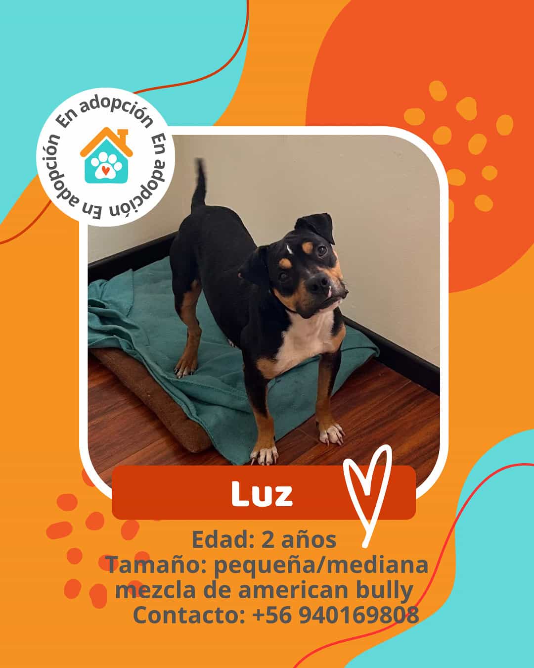 Foto de Luz