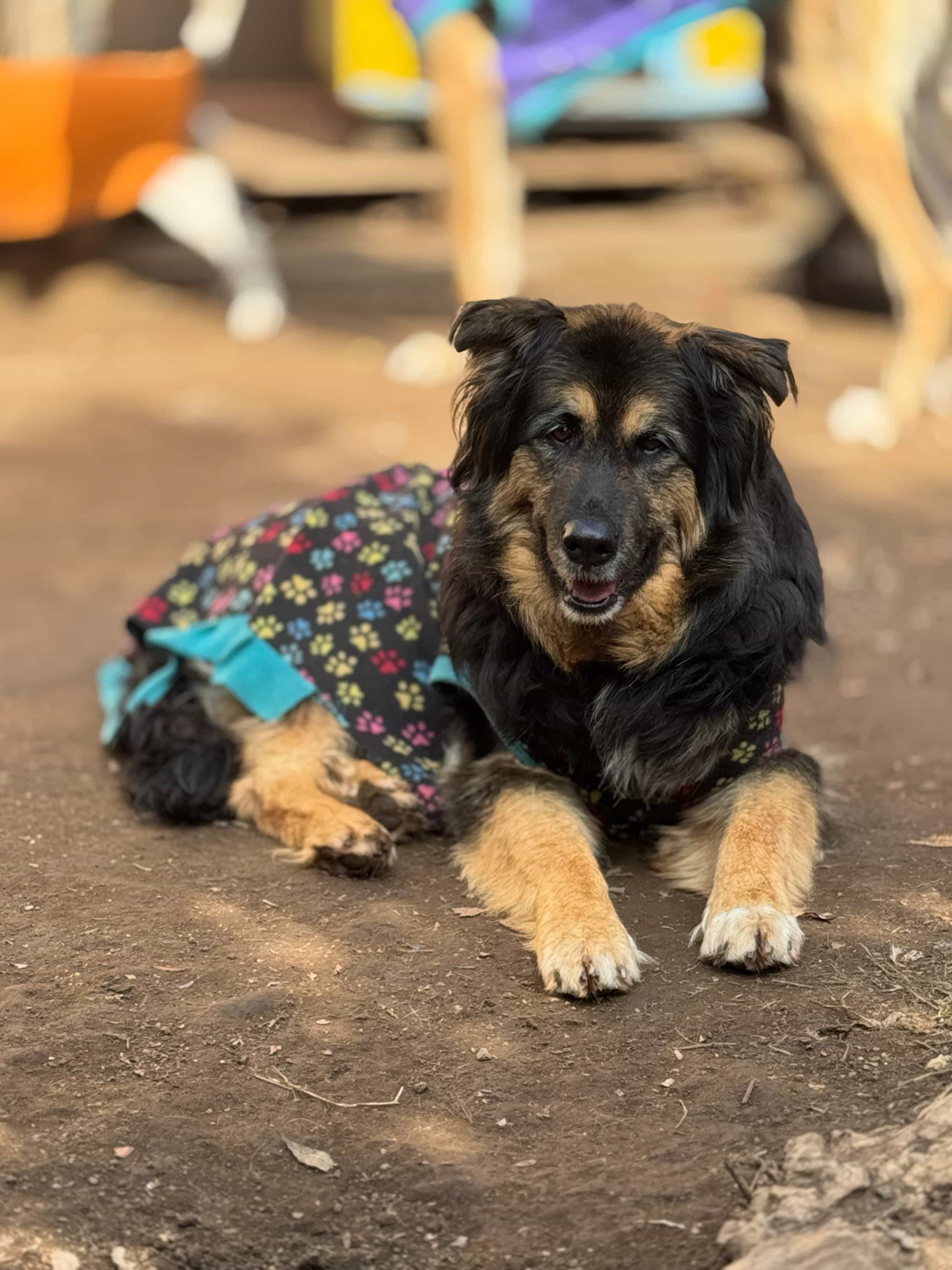 Foto de Freia