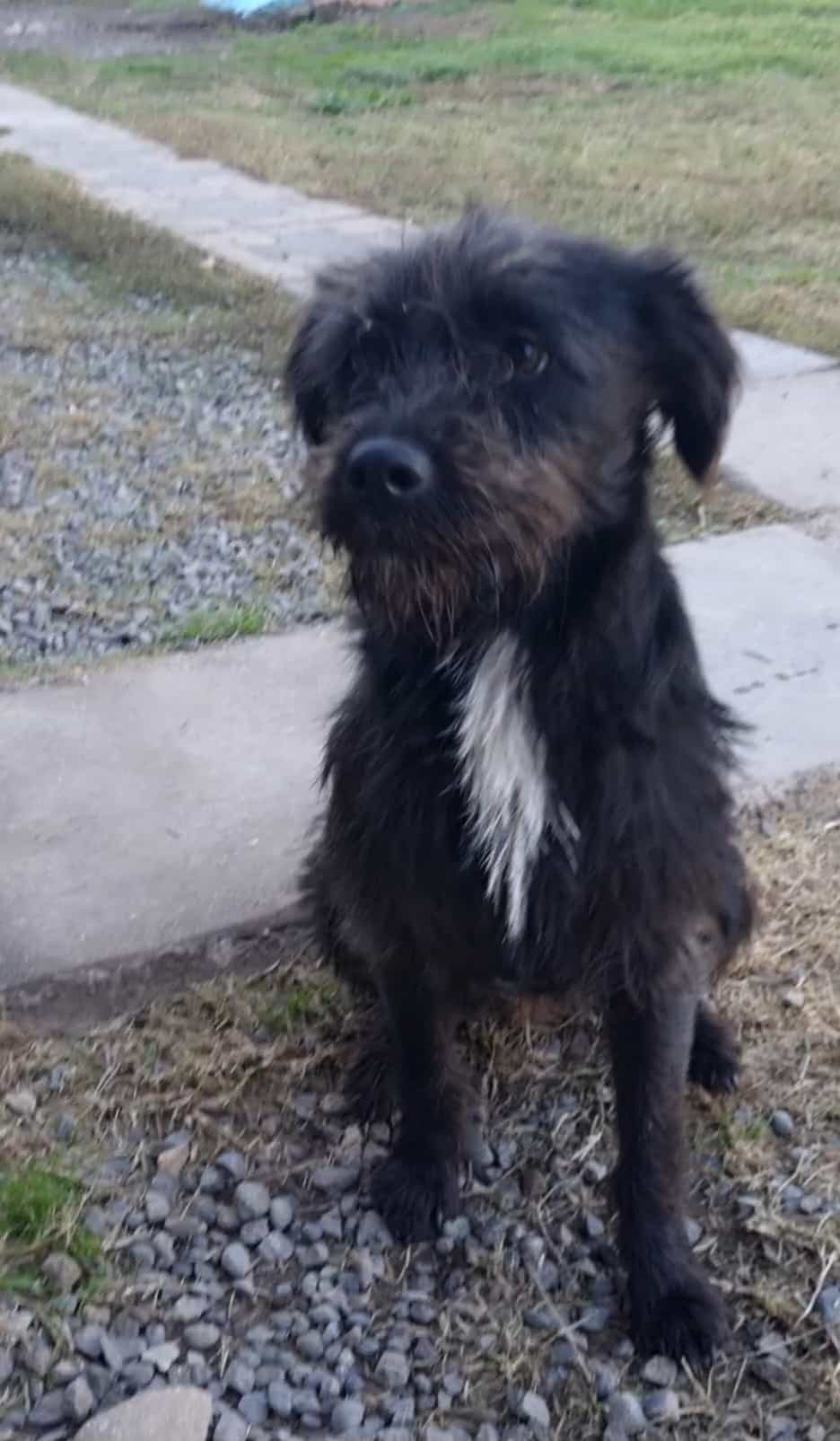 Foto de Mila