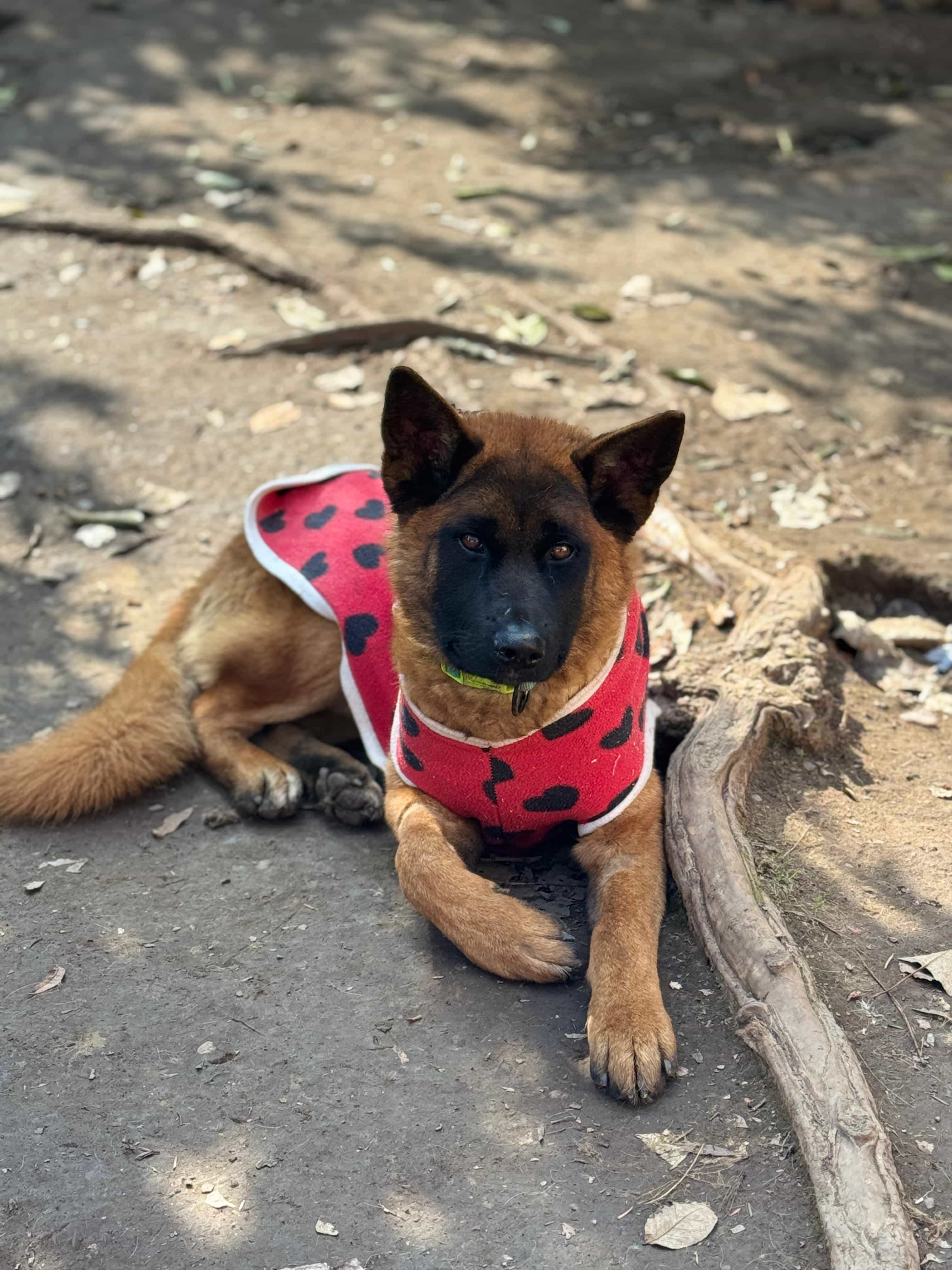 Foto de Valiente