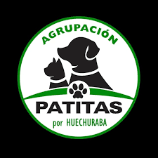 Patitas x Huechuraba