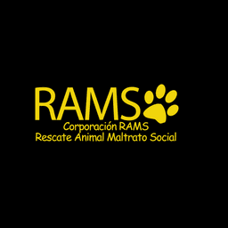 RAMS
