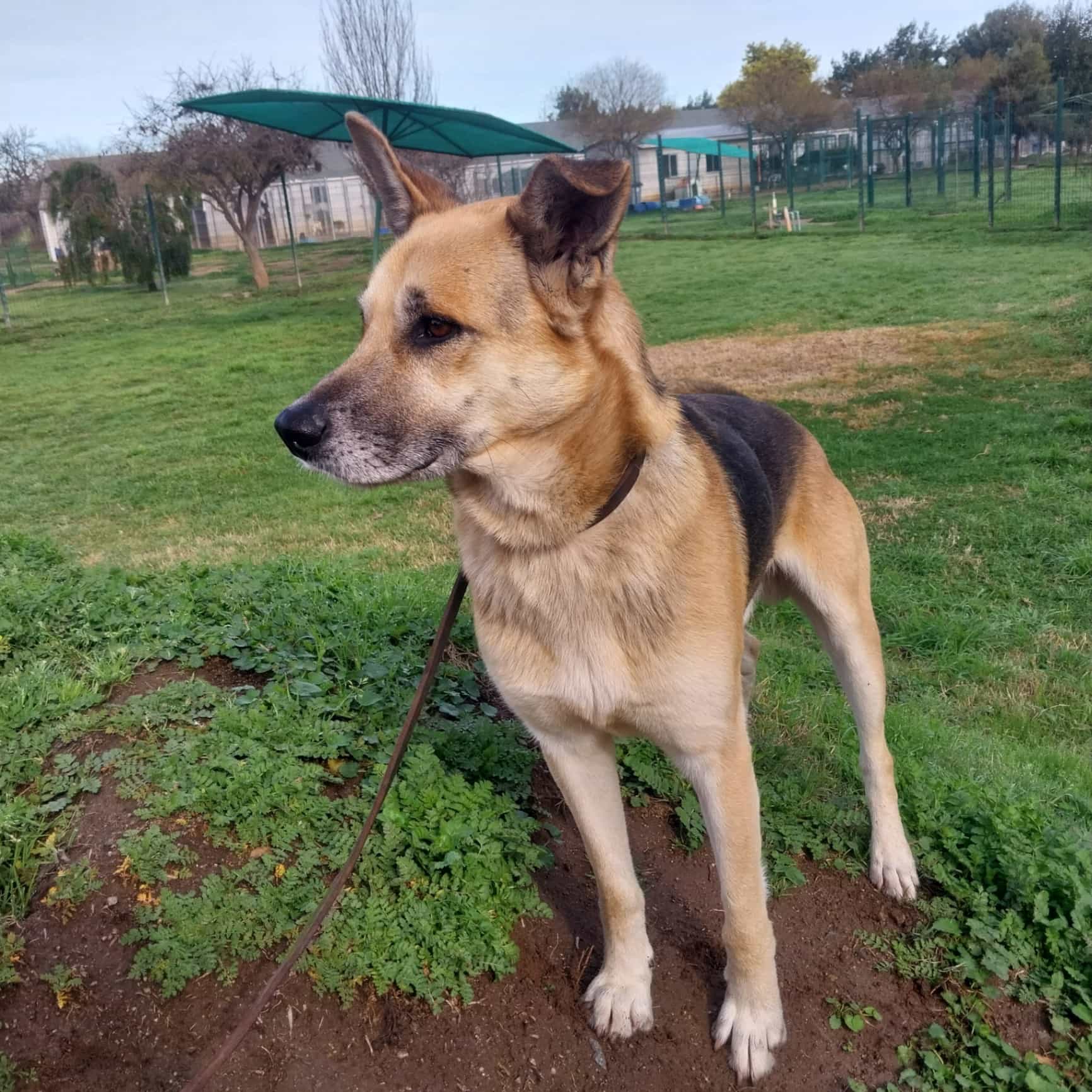 Foto de Gastón