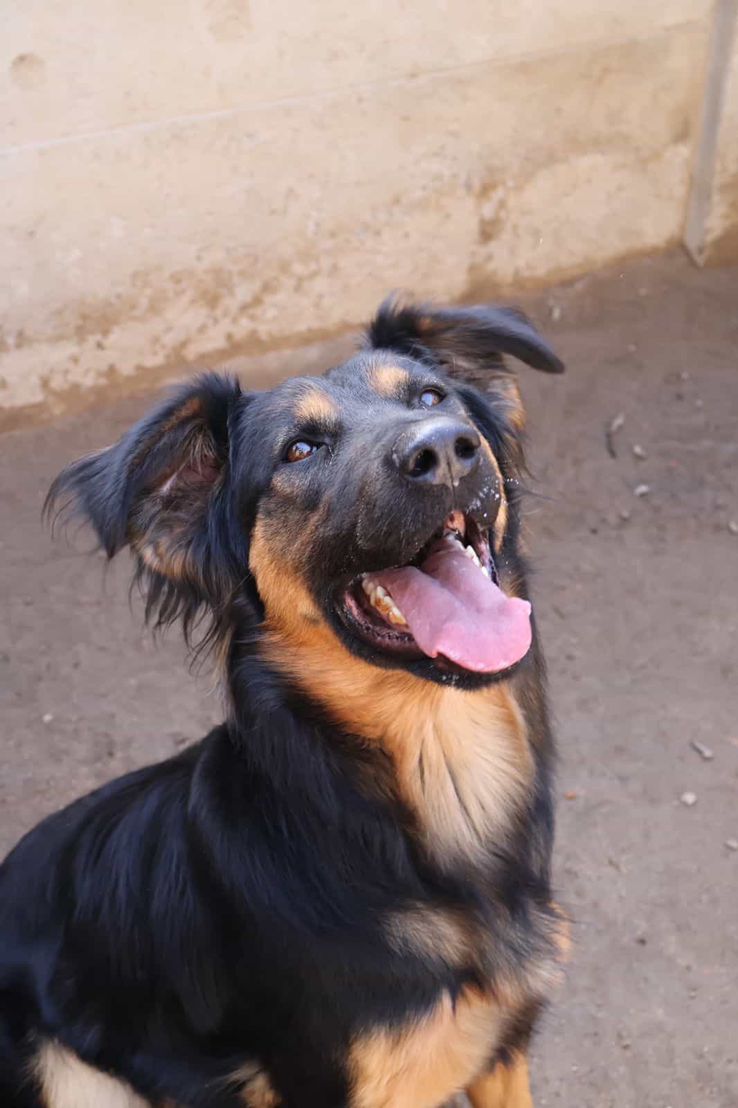 Foto de Mulán