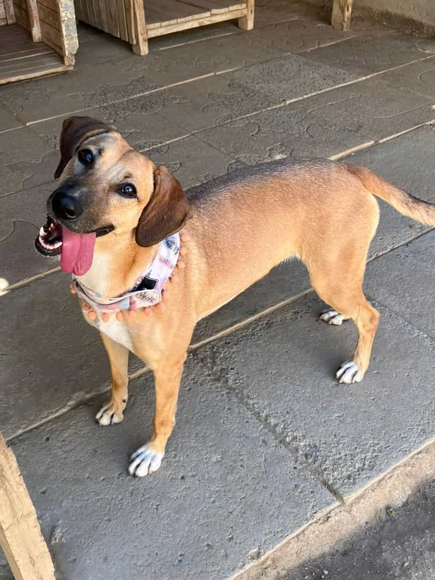 Foto de Lía