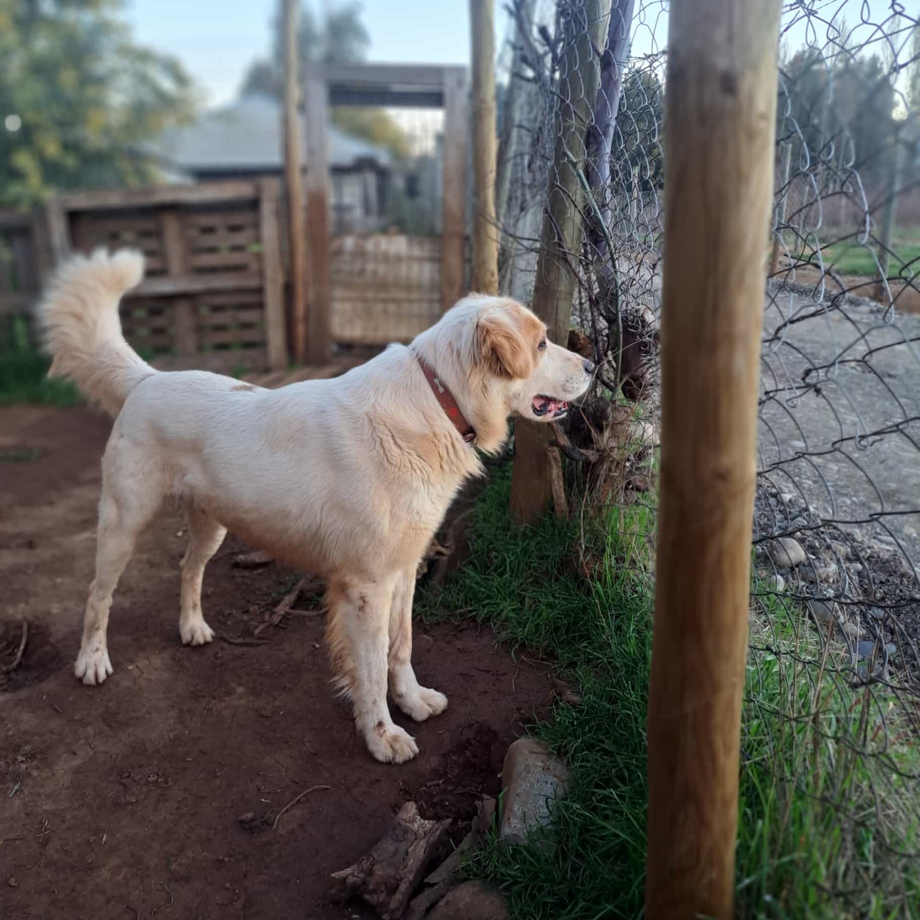 Foto de Manolo