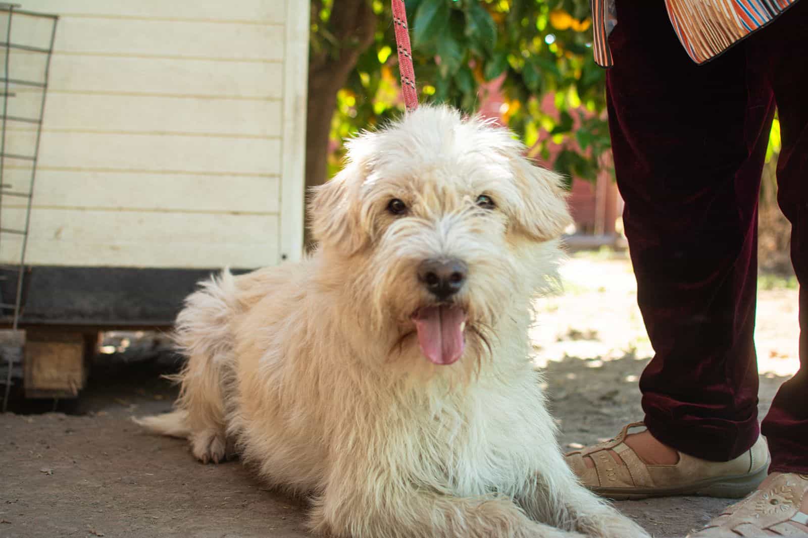 Foto de Lucky