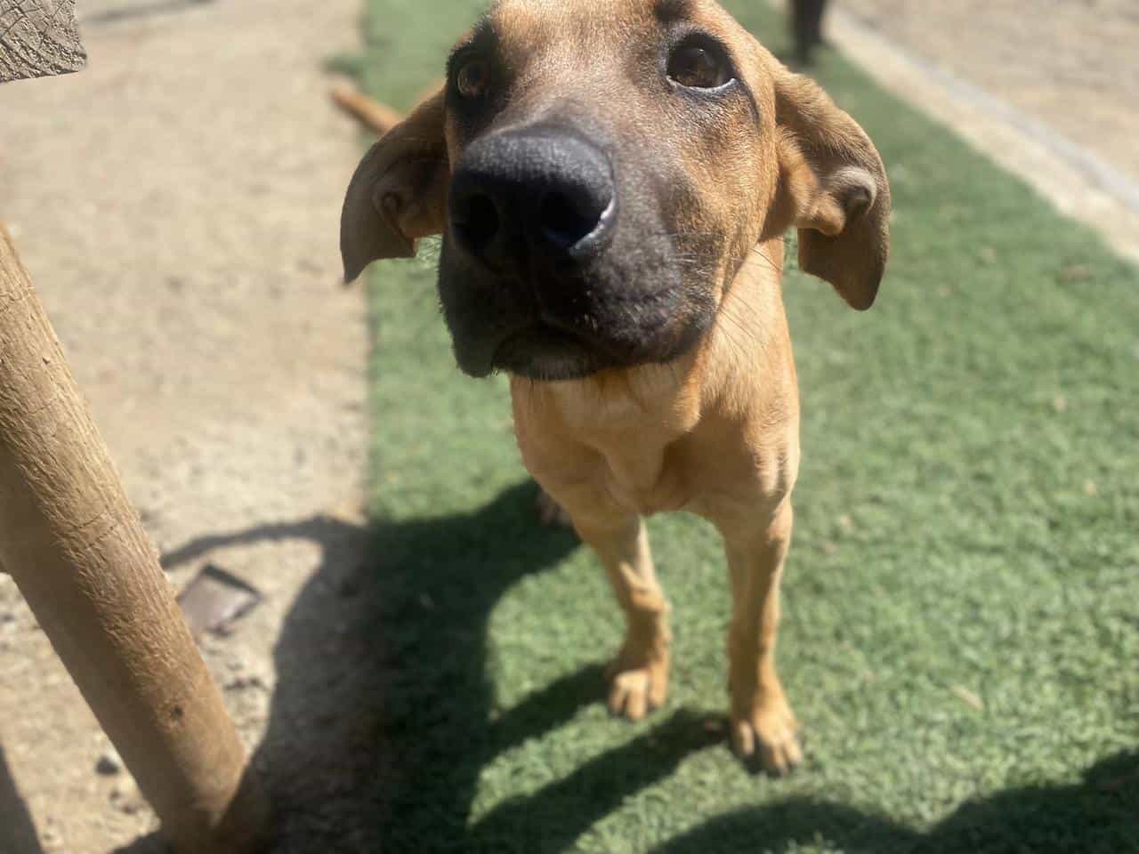 Foto de Nikki