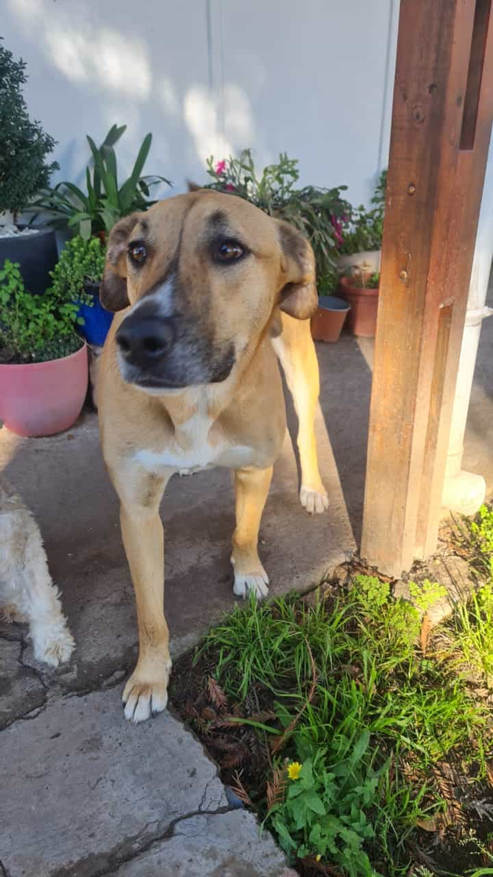 Foto de Butter