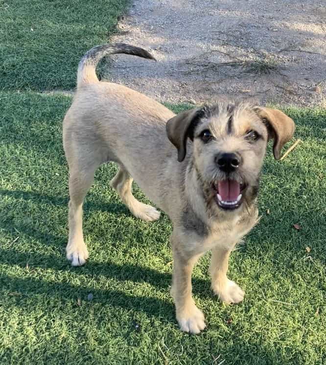 Foto de Frida