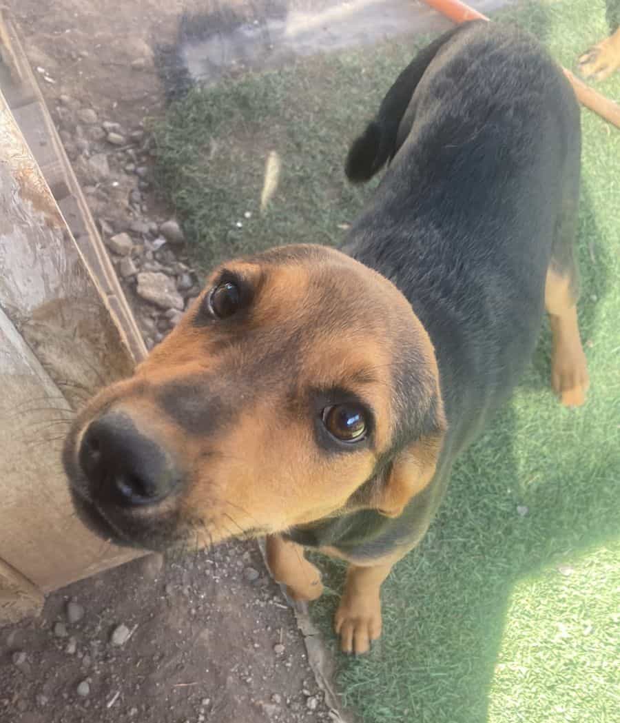 Foto de Luna