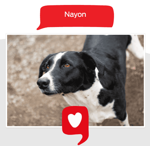 Foto de Nayon