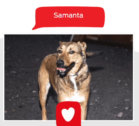 Foto de Samanta