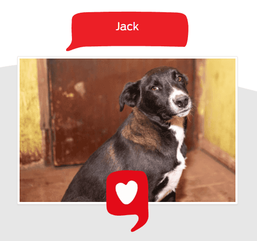 Foto de Jack