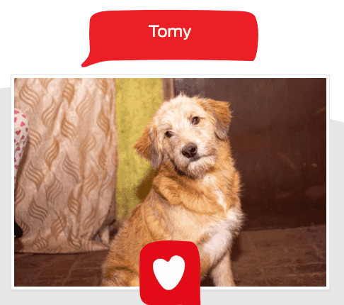 Foto de Tomy