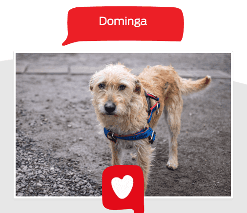 Foto de Dominga