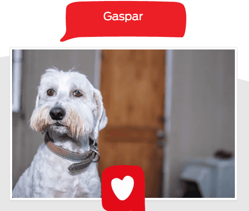 Foto de Gaspar