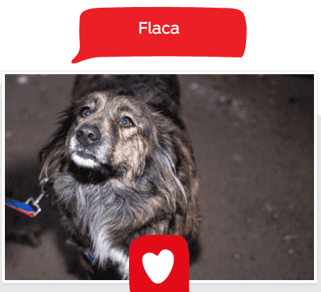 Foto de Flaca