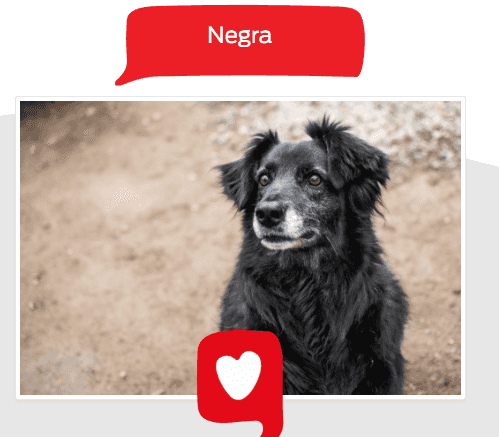 Foto de Negra