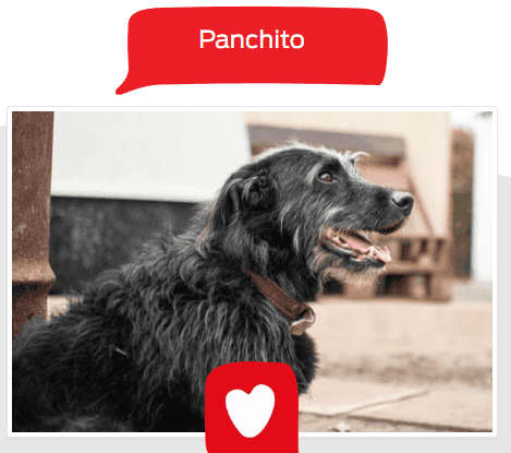 Foto de Panchito