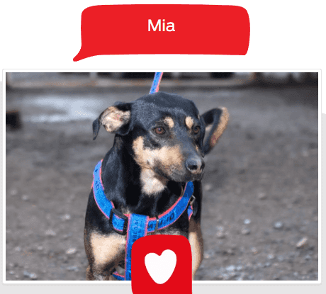Foto de Mia