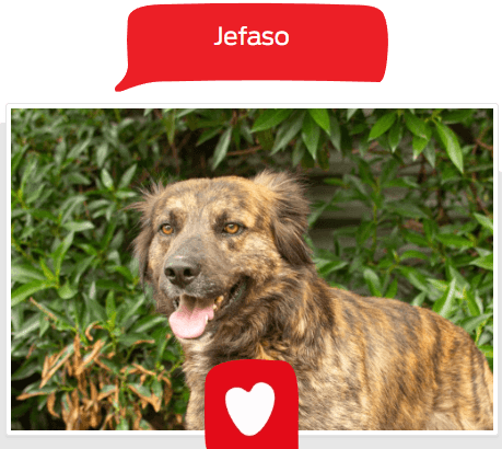 Foto de Jefaso