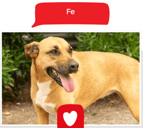Foto de Fe