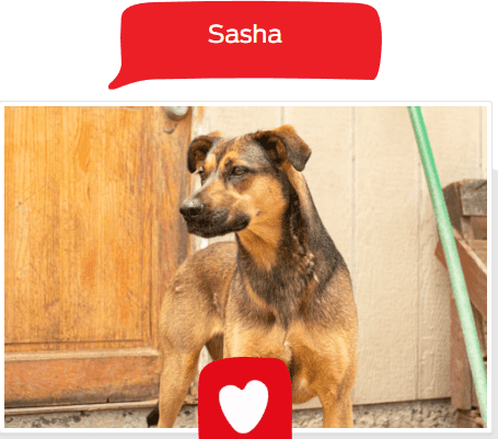 Foto de Sasha