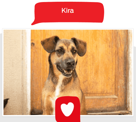 Foto de Kira