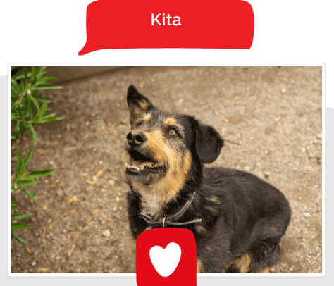 Foto de Kita