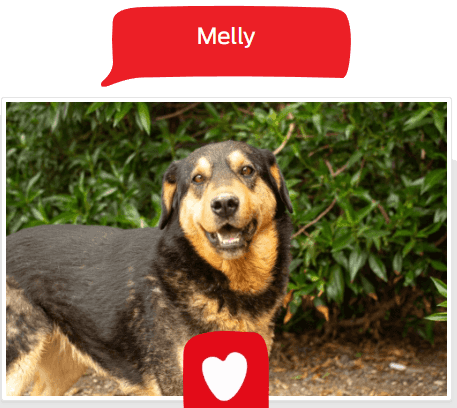 Foto de Melly
