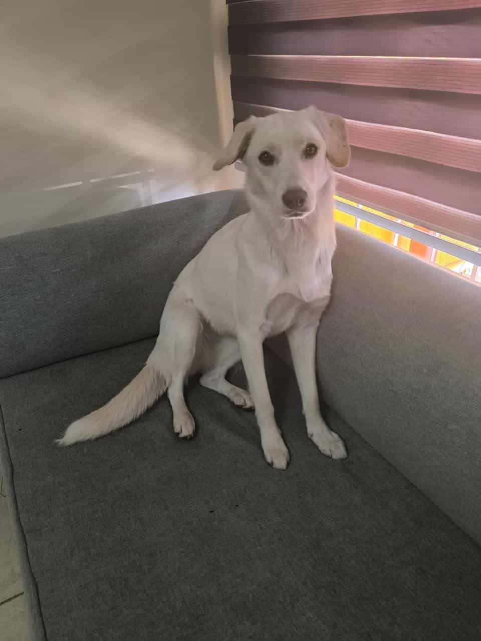 Foto de Melody