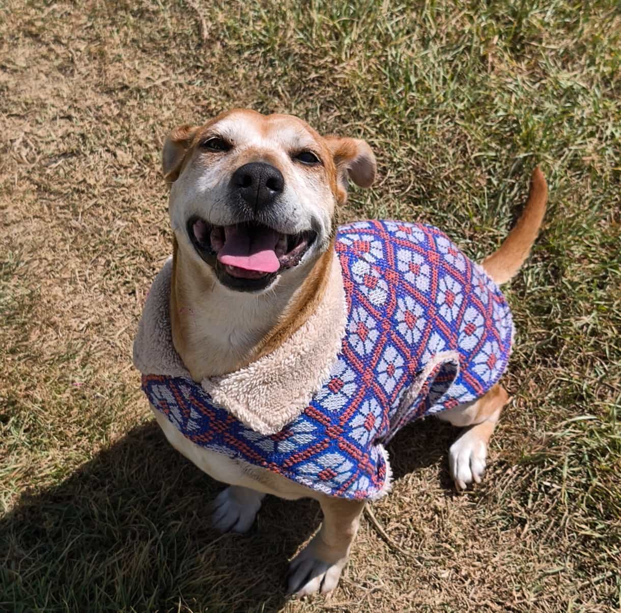 Foto de Linda